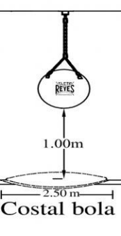 Costal Cleto Reyes bola, sintético