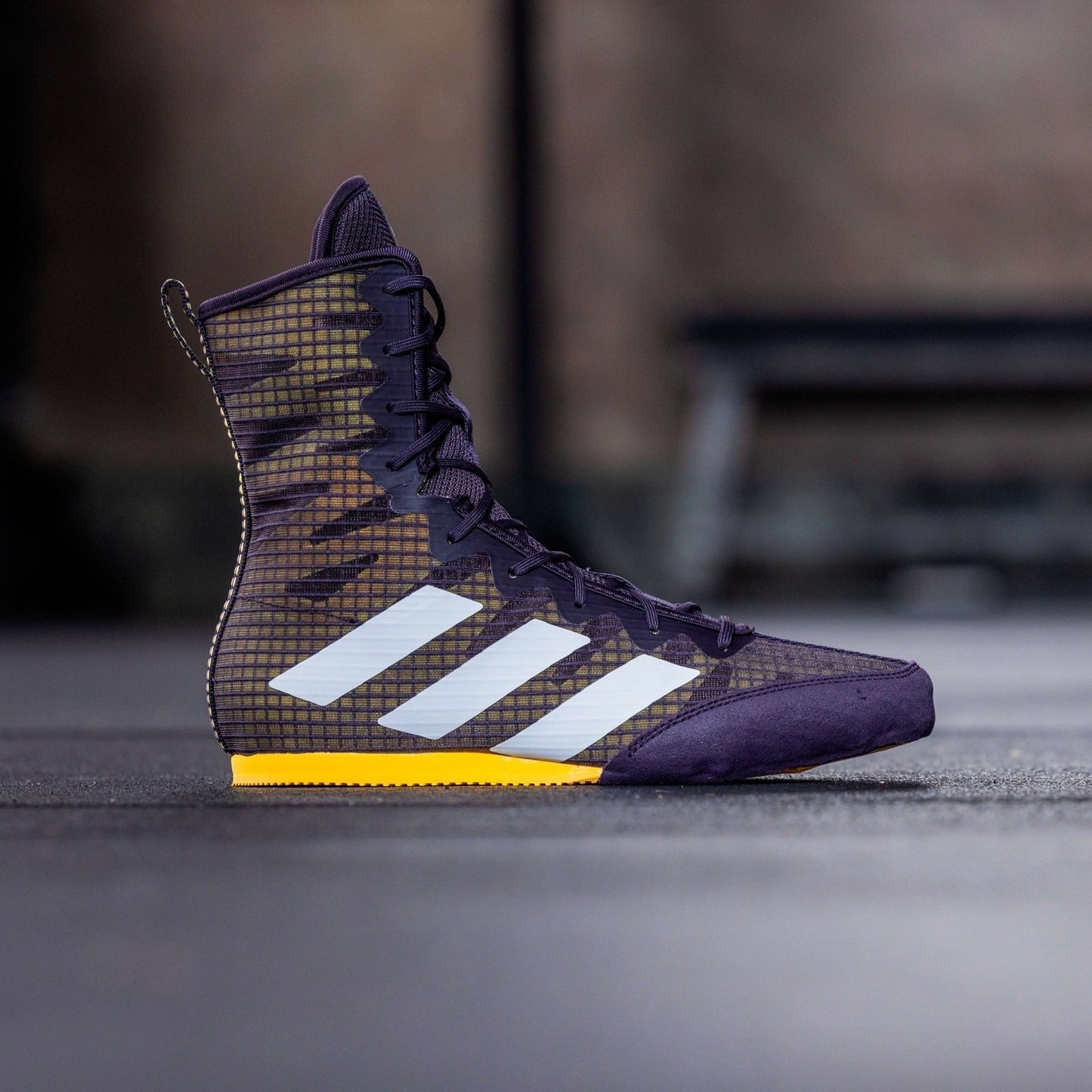 Zapatos de boxeo Adidas Box Hog 4 - Purple